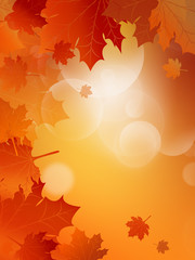 Naklejka na ściany i meble abstract golden autumn sunny background with falling leaves