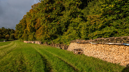 Brennholzlager am Waldrand © focus finder
