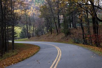 Fototapeta na wymiar Beautiful, autumn tree lined, nicely paved winding road