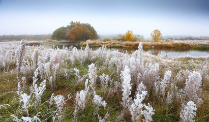 Autumn morning with grass in frost