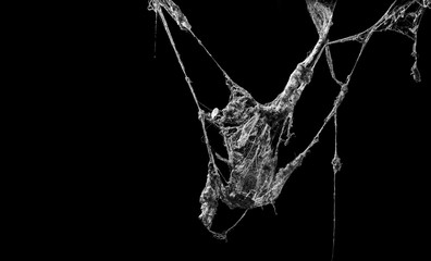 cobweb or spider web isolated on black background