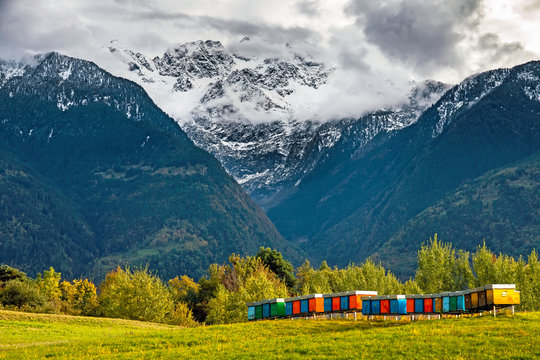 Apicoltura in montagna