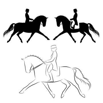 Dressage horse extended trot