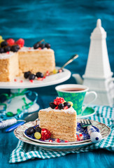 Piece of homemade  honey cake decorated with fresh fruits