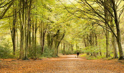 Walking the dog...