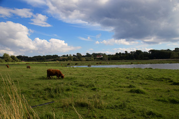 Naturgebiet Vitsø Nor bei Søby auf Ærø / Dänmark.