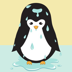  thaw, dissolution, defrost, drops, puddle