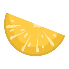 Orange slice vector
