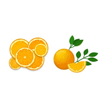 Orange isolated vector illustration.