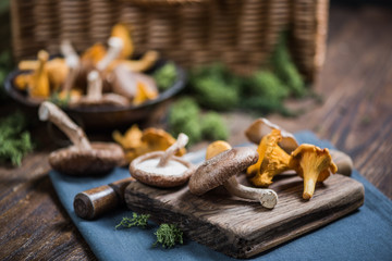 Wild mushrooms on wooden board