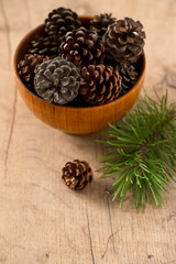 pine cones and needles