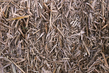 Background of a Bale of Hay in Autumn