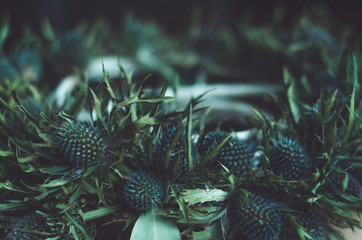 Abstract background. Winter flower wreath, Christmas still life, rustic decor with eucalyptus eringium. Hand made home  concept. toned, square