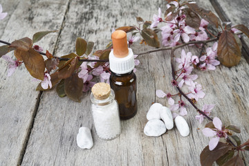 Kirschblüten mit Globuli und Bachblüten