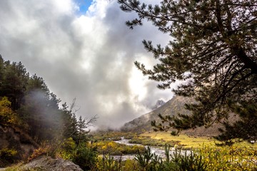 лес в тумане, облака