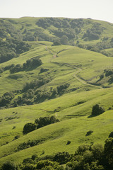 Fototapeta na wymiar lucas valley hills