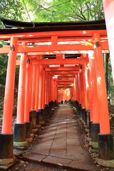 Fototapeta na wymiar Fushimi Inari Taisya shrine Kyoto Japan