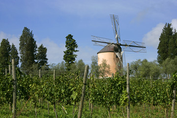 windmill