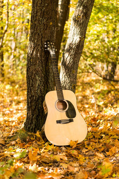 Guitar in autumn leaves