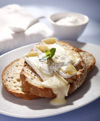 sandwich with cheese on a table, on a white plate 