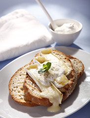 sandwich with cheese on a table, on a white plate 