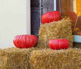 Three red pumpkins