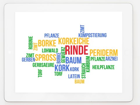 Rinde