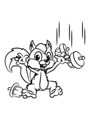 Squirrel sweet food joy