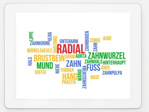 Radial