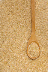 Quinoa. Macro. Selective focus.