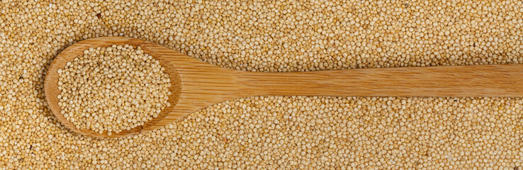 Quinoa. Macro. Selective focus.