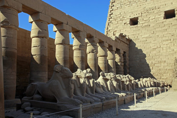 row of rams