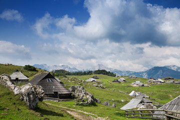 Fototapeta na wymiar Velika Planina or Big Pasture Plateau, Slovenia.