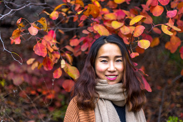 Chinese girl in the middle of red maple tree leaves, in the Red leaves valley, Jinan, Shandong province, China.