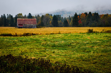 Old barn at fall, on a foggy day