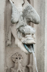 détail gargouille dans une fontaine crachant de l'eau par la bouche