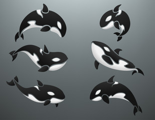 Fototapeta premium Orca logotype set vector illustration