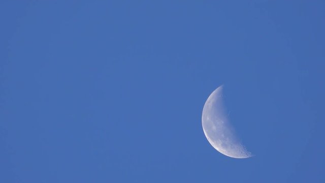 4K・早朝の月・タイムラプス_3-730