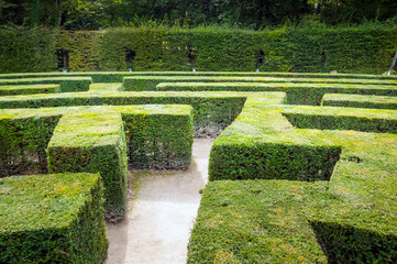 Traditional french garden labyrinth