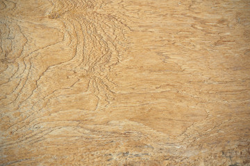 Obraz premium wood texture with natural pattern