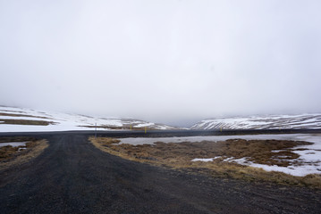 Beautiful Meadow landscape on the road