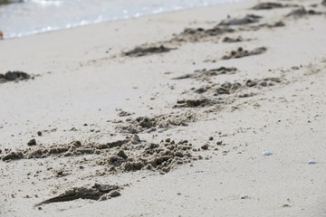Foot print on sandy beach. Foot print in sand. Foot print beach background