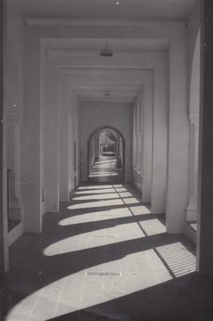 Hallway Black and White Shadows 