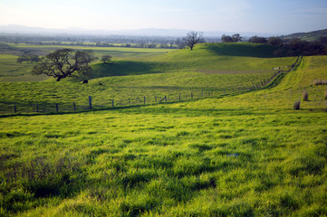 long fence n green fields