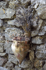 dried flowers n stone wall