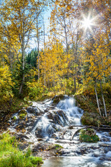 Bill Hill Springs Provincial Park, Alberta, Canada