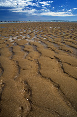 beach sand ripples