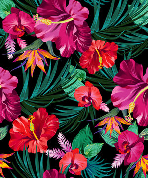 tropical vector pattern