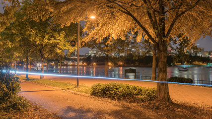 Naklejka premium tree at night with Fall season backgrounds