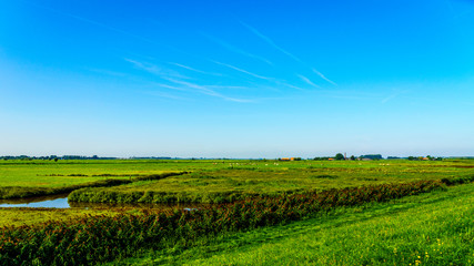 Farmer fields and meadows below the dike along the Veluwemeer under blue sky near the town of Nijkerk in the Netherlands